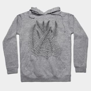 Sword ferns Hoodie